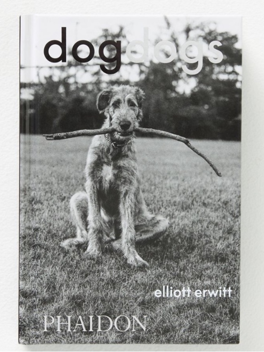 Anthropologie Dogdogs Hardcover Book NWT